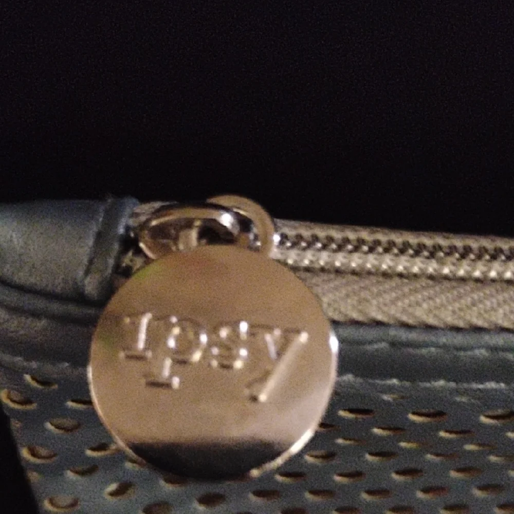 Ipsy Silver Cosmetic Bag with Textured Design - Picture 2 of 4